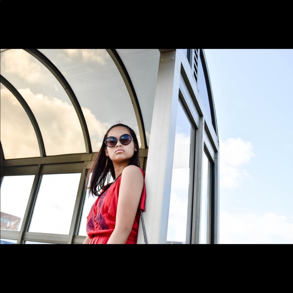JUSTFAB RED DRESS + BLUE EMBROIDERY - Picture 4 of 5